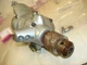 Echo edr-260 gear box and chuck READ AD  gas drill   part only bin 487 #2