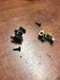 Use OEM Parts Brush Kit Assembly For DeWalt DW257 Drywall Corded Screwdriver