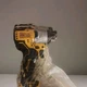 DEWALT DCF801 12V MAX Brushless Impact Driver w/Bag TOOL ONLY New Fast Ship