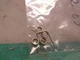 DISC SPRING - 2650-20 & BRUSH SPRING RIGHT off a Milwaukee 2680-20 Cordless 18