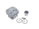 Cylinder Piston Kit for Echo PB-260I PB-260L PB-261L PE-261 EDR-260 SRM-260S
