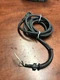 Use OEM Parts Power Cord Assembly For DeWalt DW257 Drywall Corded Screwdriver
